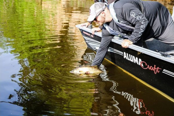 Voyageur 175 Sport - Afbeelding 7